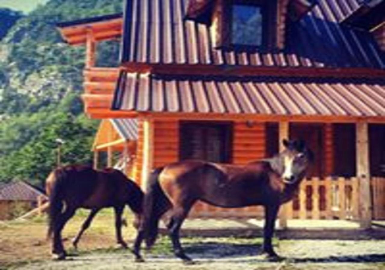 Bauernhof Thethi Paradise & Restaurant
